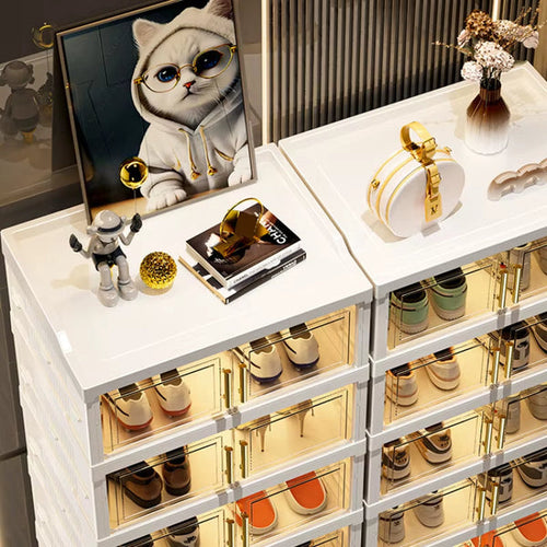 Organizador de zapatos | compra 1 y llévate 2