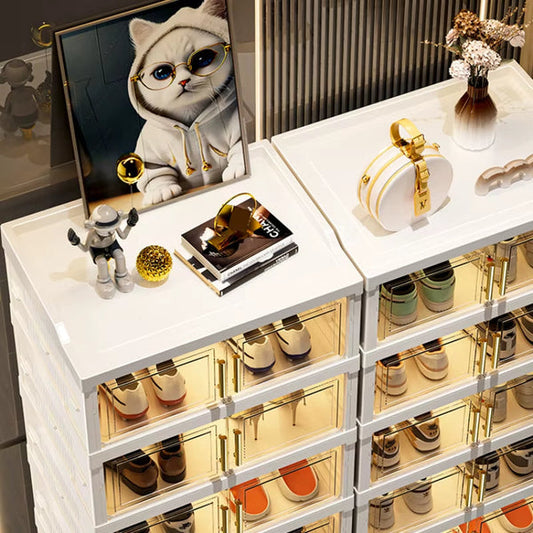 Organizador de zapatos | compra 1 y llévate 2