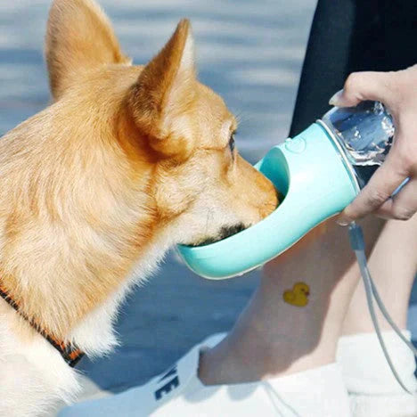 Garrafa Portátil para Pets 4 em 1 - WaterPet