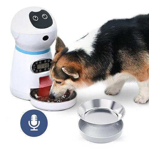 Comedouro Automático para Cachorro e Gato - Sun Ofertas